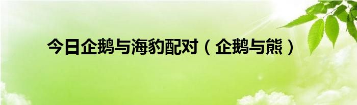 今日企鹅与海豹配对（企鹅与熊）