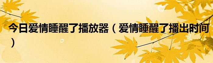 今日爱情睡醒了播放器（爱情睡醒了播出时间）