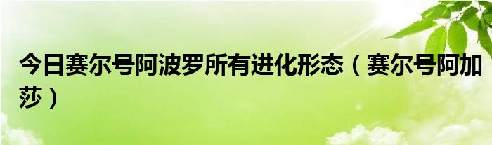 今日赛尔号阿波罗所有进化形态（赛尔号阿加莎）