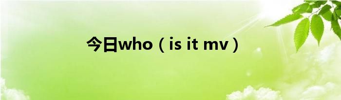 今日who（is it mv）