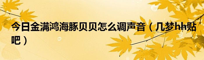 今日金满鸿海豚贝贝怎么调声音（几梦hh贴吧）