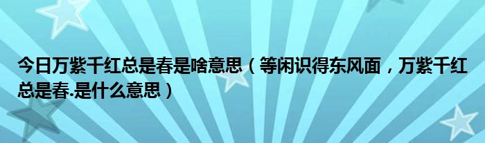 今日万紫千红总是春是啥意思（等闲识得东风面，万紫千红总是春.是什么意思）
