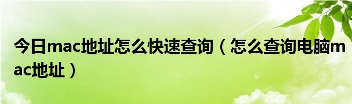 今日mac地址怎么快速查询（怎么查询电脑mac地址）