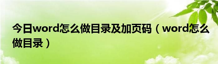 今日word怎么做目录及加页码（word怎么做目录）