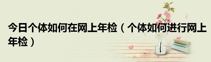今日个体如何在网上年检（个体如何进行网上年检）