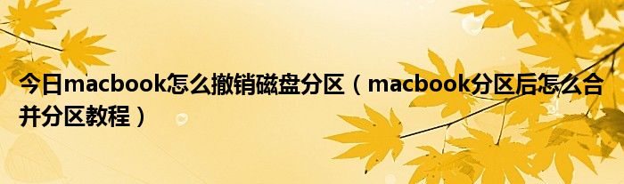 今日macbook怎么撤销磁盘分区（macbook分区后怎么合并分区教程）