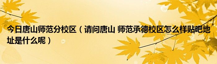 今日唐山师范分校区（请问唐山 师范承德校区怎么样贴吧地址是什么呢）