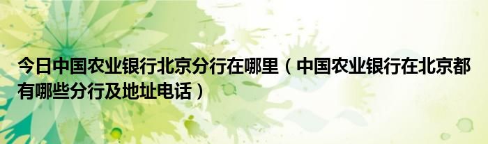 今日中国农业银行北京分行在哪里（中国农业银行在北京都有哪些分行及地址电话）