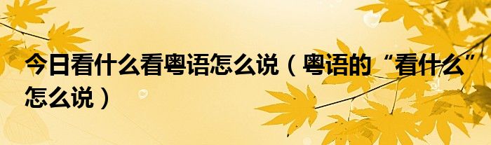 今日看什么看粤语怎么说（粤语的“看什么”怎么说）