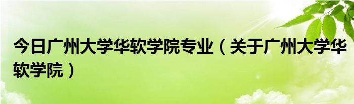 今日广州大学华软学院专业（关于广州大学华软学院）