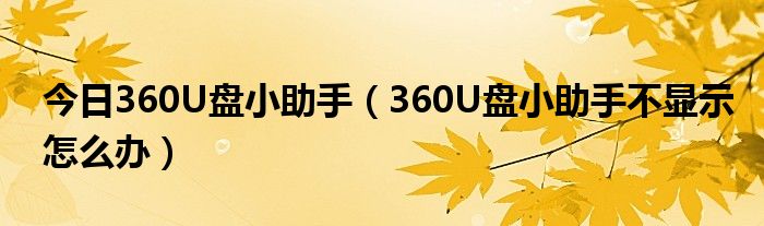 今日360U盘小助手（360U盘小助手不显示怎么办）