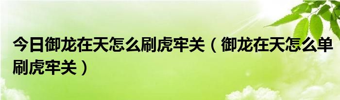 今日御龙在天怎么刷虎牢关（御龙在天怎么单刷虎牢关）