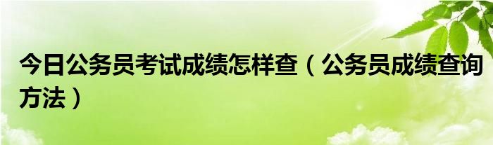 今日公务员考试成绩怎样查（公务员成绩查询方法）