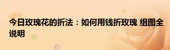 今日玫瑰花的折法：如何用钱折玫瑰 组图全说明