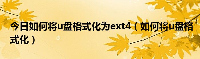 今日如何将u盘格式化为ext4（如何将u盘格式化）