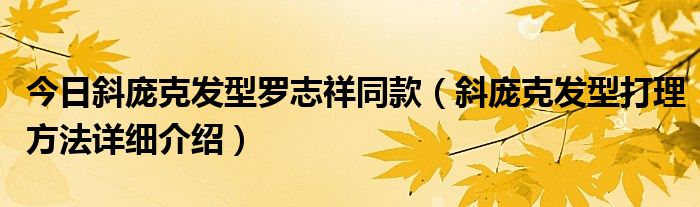 今日斜庞克发型罗志祥同款（斜庞克发型打理方法详细介绍）