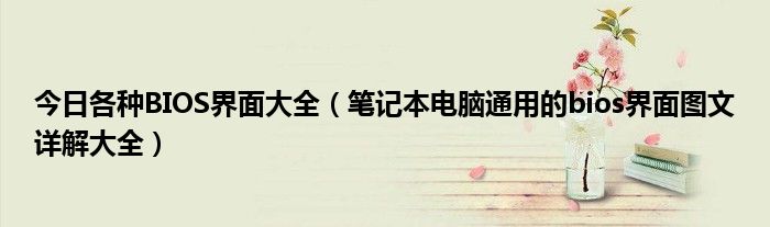 今日各种BIOS界面大全（笔记本电脑通用的bios界面图文详解大全）