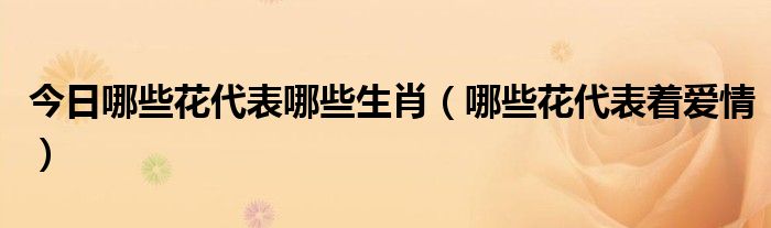 今日哪些花代表哪些生肖（哪些花代表着爱情）