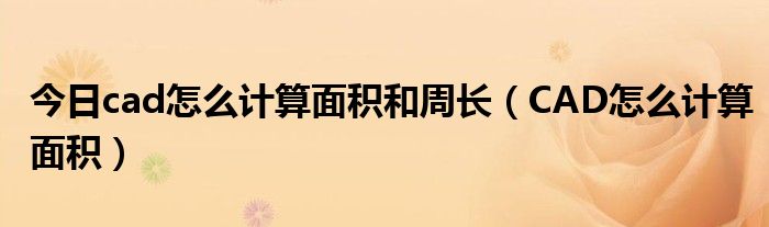 今日cad怎么计算面积和周长（CAD怎么计算面积）