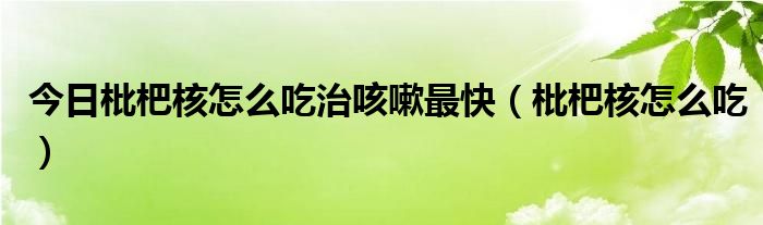 今日枇杷核怎么吃治咳嗽最快（枇杷核怎么吃）