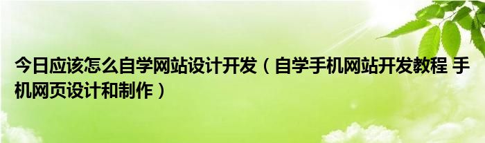 今日应该怎么自学网站设计开发（自学手机网站开发教程 手机网页设计和制作）