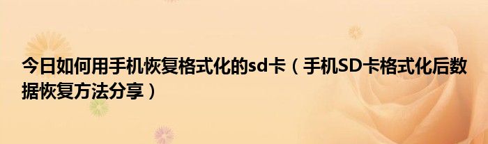 今日如何用手机恢复格式化的sd卡（手机SD卡格式化后数据恢复方法分享）