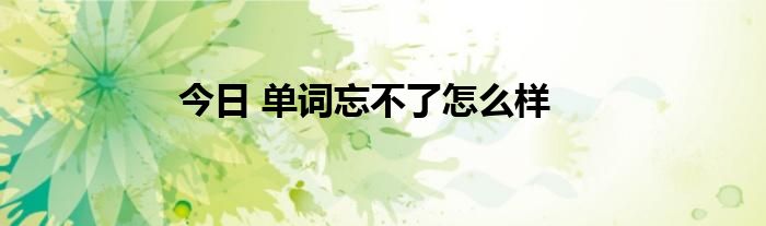 今日 单词忘不了怎么样