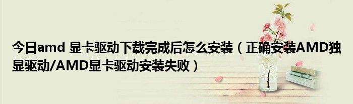 今日amd 显卡驱动下载完成后怎么安装（正确安装AMD独显驱动/AMD显卡驱动安装失败）