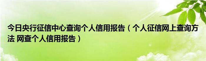 今日央行征信中心查询个人信用报告（个人征信网上查询方法 网查个人信用报告）