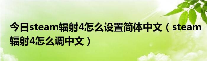 今日steam辐射4怎么设置简体中文（steam辐射4怎么调中文）