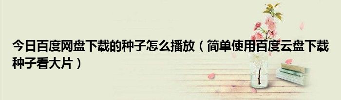 今日百度网盘下载的种子怎么播放（简单使用百度云盘下载种子看大片）