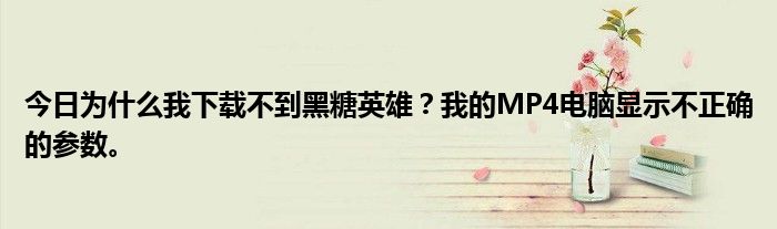 今日为什么我下载不到黑糖英雄？我的MP4电脑显示不正确的参数。