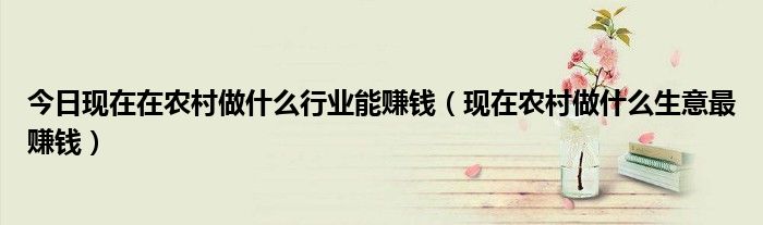 今日现在在农村做什么行业能赚钱（现在农村做什么生意最赚钱）