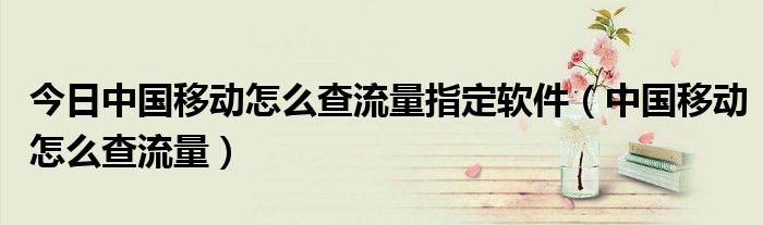 今日中国移动怎么查流量指定软件（中国移动怎么查流量）
