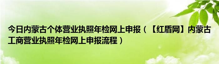今日内蒙古个体营业执照年检网上申报（【红盾网】内蒙古工商营业执照年检网上申报流程）