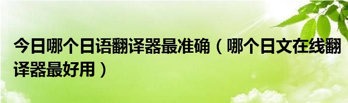 今日哪个日语翻译器最准确（哪个日文在线翻译器最好用）