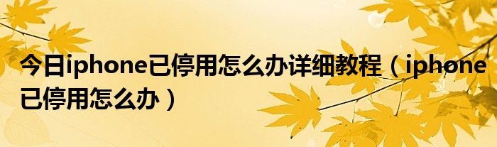 今日iphone已停用怎么办详细教程（iphone已停用怎么办）