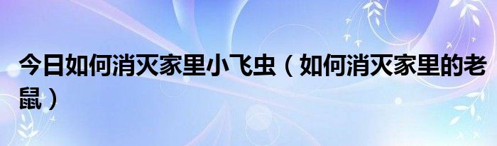 今日如何消灭家里小飞虫（如何消灭家里的老鼠）