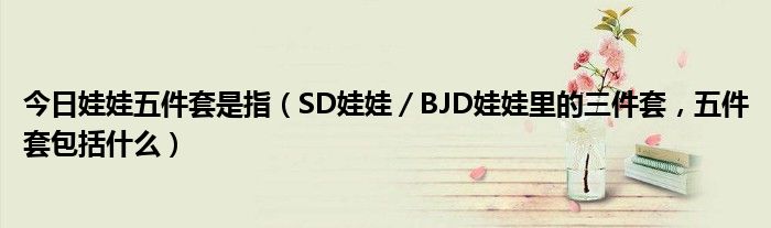 今日娃娃五件套是指（SD娃娃／BJD娃娃里的三件套，五件套包括什么）