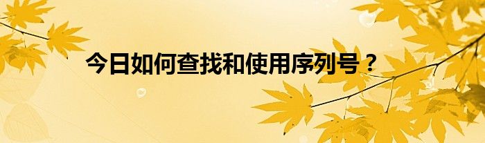 今日如何查找和使用序列号？