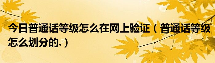 今日普通话等级怎么在网上验证（普通话等级怎么划分的.）