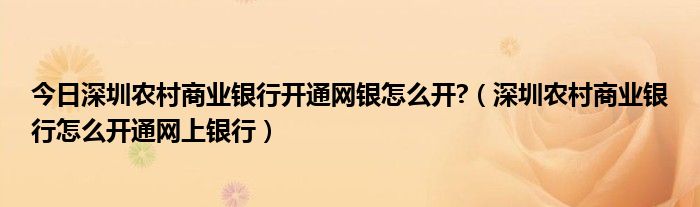 今日深圳农村商业银行开通网银怎么开?（深圳农村商业银行怎么开通网上银行）