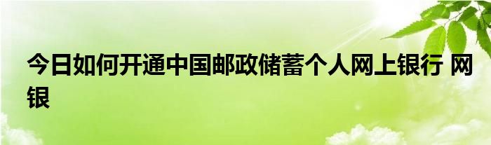 今日如何开通中国邮政储蓄个人网上银行 网银