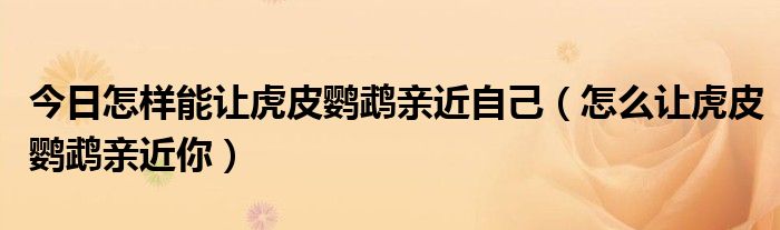 今日怎样能让虎皮鹦鹉亲近自己（怎么让虎皮鹦鹉亲近你）