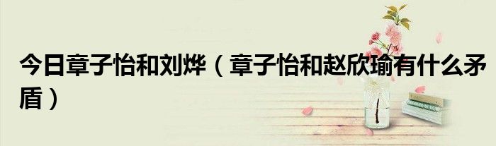 今日章子怡和刘烨（章子怡和赵欣瑜有什么矛盾）