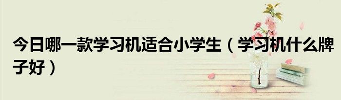 今日哪一款学习机适合小学生（学习机什么牌子好）