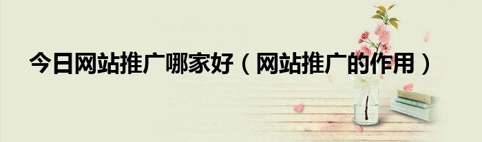 今日网站推广哪家好（网站推广的作用）