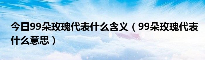 今日99朵玫瑰代表什么含义（99朵玫瑰代表什么意思）