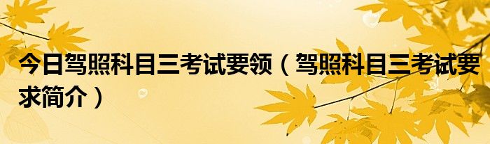 今日驾照科目三考试要领（驾照科目三考试要求简介）