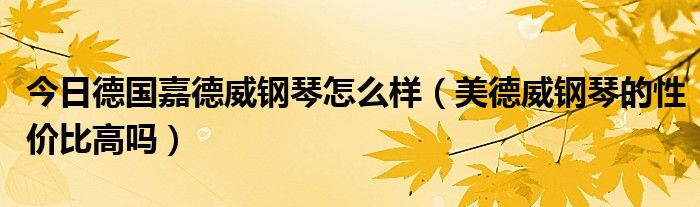 今日德国嘉德威钢琴怎么样（美德威钢琴的性价比高吗）
